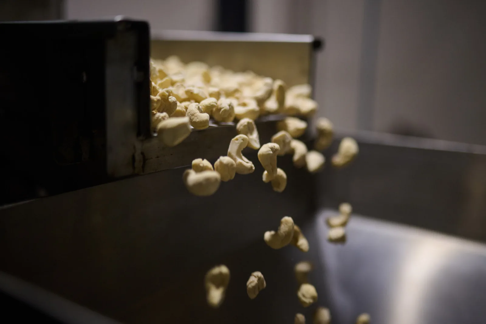 JUMBO W180 cashew kernels — premium close-up